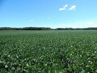 Tract 6 - MICHIGAN LAND AUCTION - 413+/- ACRES OFFERED IN 11 TRACTS IN BARRY & EATON COUNTIES