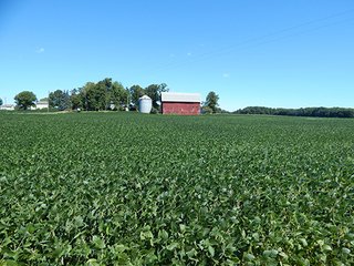 Tracts 5 & 6 - MICHIGAN LAND AUCTION - 413+/- ACRES OFFERED IN 11 TRACTS IN BARRY & EATON COUNTIES