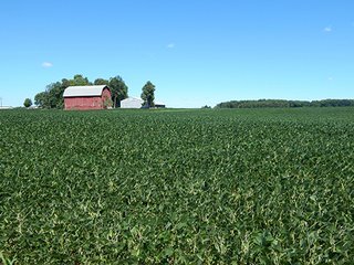 Tracts 5 & 6 - MICHIGAN LAND AUCTION - 413+/- ACRES OFFERED IN 11 TRACTS IN BARRY & EATON COUNTIES