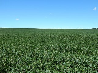 Tract 6 - MICHIGAN LAND AUCTION - 413+/- ACRES OFFERED IN 11 TRACTS IN BARRY & EATON COUNTIES