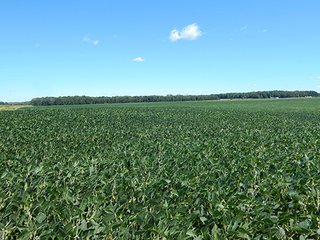 Tract 1 - MICHIGAN LAND AUCTION - 413+/- ACRES OFFERED IN 11 TRACTS IN BARRY & EATON COUNTIES