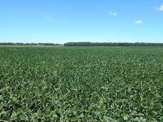 Tract 1 - MICHIGAN LAND AUCTION - 413+/- ACRES OFFERED IN 11 TRACTS IN BARRY & EATON COUNTIES