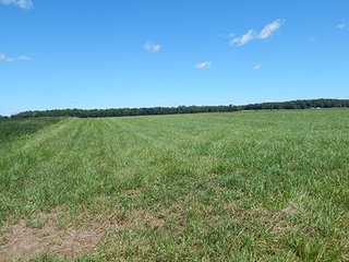 Tract 1 - MICHIGAN LAND AUCTION - 413+/- ACRES OFFERED IN 11 TRACTS IN BARRY & EATON COUNTIES