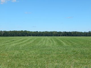 Tract 1 - MICHIGAN LAND AUCTION - 413+/- ACRES OFFERED IN 11 TRACTS IN BARRY & EATON COUNTIES