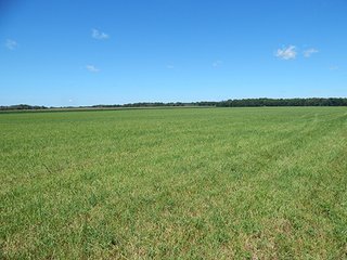 Tract 1 - MICHIGAN LAND AUCTION - 413+/- ACRES OFFERED IN 11 TRACTS IN BARRY & EATON COUNTIES