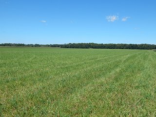 Tract 1 - MICHIGAN LAND AUCTION - 413+/- ACRES OFFERED IN 11 TRACTS IN BARRY & EATON COUNTIES
