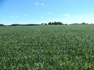 Tract 3 - MICHIGAN LAND AUCTION - 413+/- ACRES OFFERED IN 11 TRACTS IN BARRY & EATON COUNTIES
