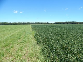 Tracts 1 & 3 - MICHIGAN LAND AUCTION - 413+/- ACRES OFFERED IN 11 TRACTS IN BARRY & EATON COUNTIES