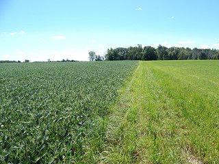 Tracts 1 & 3 - MICHIGAN LAND AUCTION - 413+/- ACRES OFFERED IN 11 TRACTS IN BARRY & EATON COUNTIES