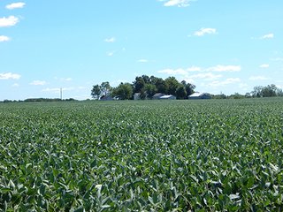 Tract 3 - MICHIGAN LAND AUCTION - 413+/- ACRES OFFERED IN 11 TRACTS IN BARRY & EATON COUNTIES