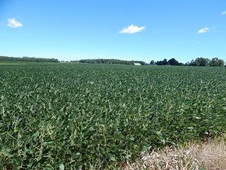 Tract 3 - MICHIGAN LAND AUCTION - 413+/- ACRES OFFERED IN 11 TRACTS IN BARRY & EATON COUNTIES