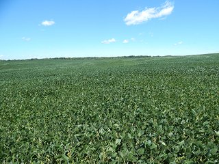 Tracts 9 - MICHIGAN LAND AUCTION - 413+/- ACRES OFFERED IN 11 TRACTS IN BARRY & EATON COUNTIES