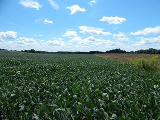 Tracts 8 - MICHIGAN LAND AUCTION - 413+/- ACRES OFFERED IN 11 TRACTS IN BARRY & EATON COUNTIES