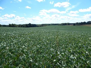 Tracts 9 - MICHIGAN LAND AUCTION - 413+/- ACRES OFFERED IN 11 TRACTS IN BARRY & EATON COUNTIES