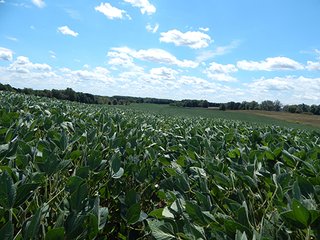 Tracts 9 - MICHIGAN LAND AUCTION - 413+/- ACRES OFFERED IN 11 TRACTS IN BARRY & EATON COUNTIES