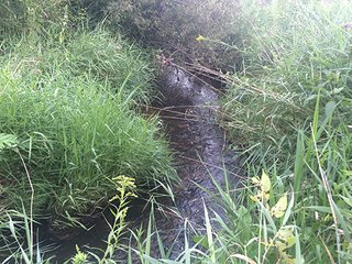 Property photo 64 - MICHIGAN LAND AUCTION - 413+/- ACRES OFFERED IN 11 TRACTS IN BARRY & EATON COUNTIES