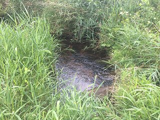 Property photo 54 - MICHIGAN LAND AUCTION - 413+/- ACRES OFFERED IN 11 TRACTS IN BARRY & EATON COUNTIES