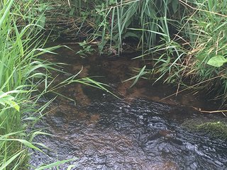 Property photo 63 - MICHIGAN LAND AUCTION - 413+/- ACRES OFFERED IN 11 TRACTS IN BARRY & EATON COUNTIES