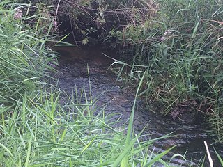 Property photo 62 - MICHIGAN LAND AUCTION - 413+/- ACRES OFFERED IN 11 TRACTS IN BARRY & EATON COUNTIES