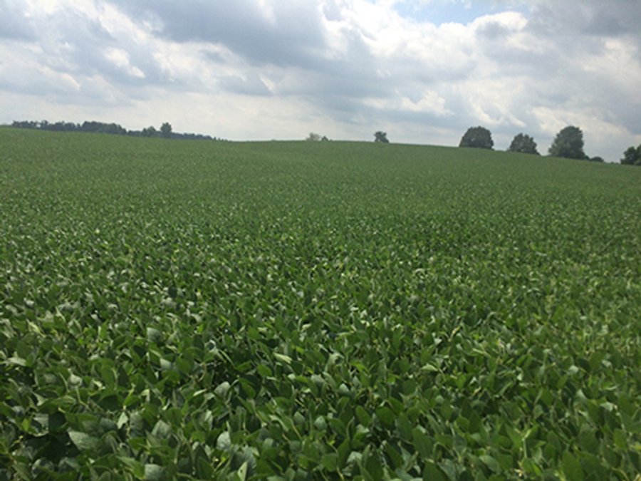 MICHIGAN LAND AUCTION - 413+/- ACRES OFFERED IN 11 TRACTS IN BARRY & EATON COUNTIES