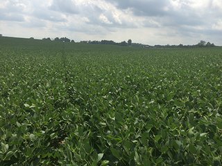 Property photo 53 - MICHIGAN LAND AUCTION - 413+/- ACRES OFFERED IN 11 TRACTS IN BARRY & EATON COUNTIES