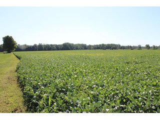 Property photo 1 - REAL ESTATE AUCTION - 95.18+/- ACRES IN ELKHART COUNTY