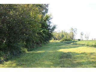 Property photo 2 - REAL ESTATE AUCTION - 95.18+/- ACRES IN ELKHART COUNTY