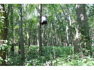 Property photo 4 - REAL ESTATE AUCTION - 95.18+/- ACRES IN ELKHART COUNTY