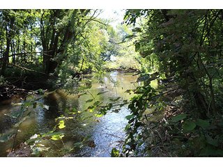 Property photo 5 - REAL ESTATE AUCTION - 95.18+/- ACRES IN ELKHART COUNTY