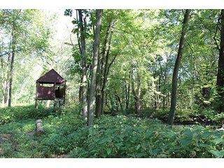 Property photo 6 - REAL ESTATE AUCTION - 95.18+/- ACRES IN ELKHART COUNTY