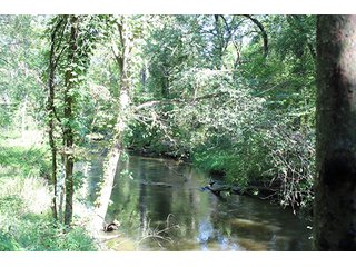 Property photo 7 - REAL ESTATE AUCTION - 95.18+/- ACRES IN ELKHART COUNTY