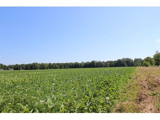 Property photo 8 - REAL ESTATE AUCTION - 95.18+/- ACRES IN ELKHART COUNTY