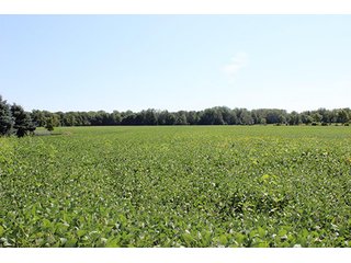 Property photo 9 - REAL ESTATE AUCTION - 95.18+/- ACRES IN ELKHART COUNTY