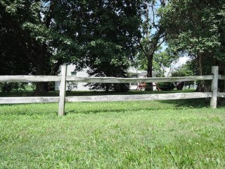 Tract 2 - REAL ESTATE AUCTION - 173+/- ACRES OFFERED IN 7 TRACTS IN DELAWARE COUNTY