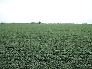 Property photo 28 - REAL ESTATE AUCTION - 173+/- ACRES OFFERED IN 7 TRACTS IN DELAWARE COUNTY