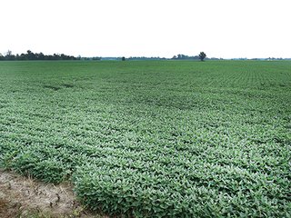 Tract 5 - REAL ESTATE AUCTION - 173+/- ACRES OFFERED IN 7 TRACTS IN DELAWARE COUNTY
