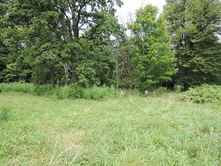 Property photo 27 - REAL ESTATE AUCTION - 173+/- ACRES OFFERED IN 7 TRACTS IN DELAWARE COUNTY