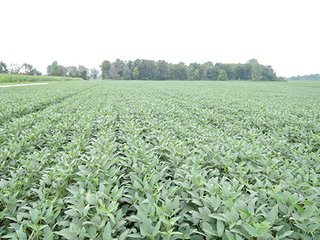 Property photo 26 - REAL ESTATE AUCTION - 173+/- ACRES OFFERED IN 7 TRACTS IN DELAWARE COUNTY