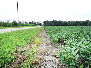 Tract 3 - REAL ESTATE AUCTION - 173+/- ACRES OFFERED IN 7 TRACTS IN DELAWARE COUNTY