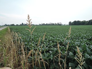 Property photo 20 - REAL ESTATE AUCTION - 173+/- ACRES OFFERED IN 7 TRACTS IN DELAWARE COUNTY