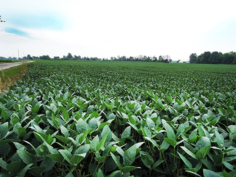 REAL ESTATE AUCTION - 173+/- ACRES OFFERED IN 7 TRACTS IN DELAWARE COUNTY