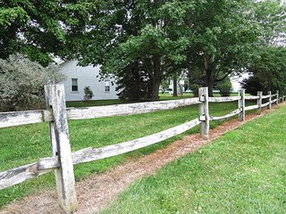 Property photo 7 - REAL ESTATE AUCTION - 173+/- ACRES OFFERED IN 7 TRACTS IN DELAWARE COUNTY