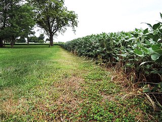 Property photo 22 - REAL ESTATE AUCTION - 173+/- ACRES OFFERED IN 7 TRACTS IN DELAWARE COUNTY