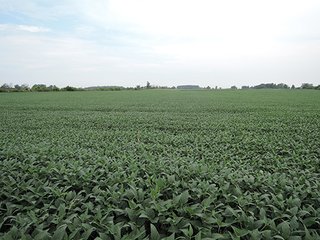 Property photo 23 - REAL ESTATE AUCTION - 173+/- ACRES OFFERED IN 7 TRACTS IN DELAWARE COUNTY