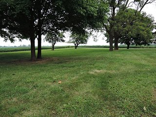 Property photo 24 - REAL ESTATE AUCTION - 173+/- ACRES OFFERED IN 7 TRACTS IN DELAWARE COUNTY