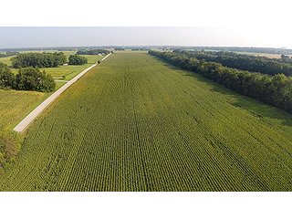 Property photo 19 - REAL ESTATE AUCTION - 259+/- ACRES OFFERED IN 7 TRACTS IN LAPORTE COUNTY