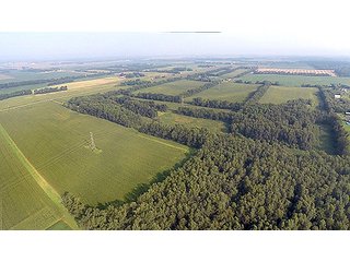 Property photo 21 - REAL ESTATE AUCTION - 259+/- ACRES OFFERED IN 7 TRACTS IN LAPORTE COUNTY