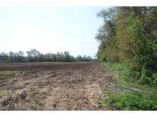 Property photo 24 - REAL ESTATE AUCTION - 259+/- ACRES OFFERED IN 7 TRACTS IN LAPORTE COUNTY