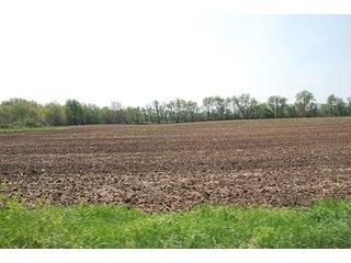 Property photo 28 - REAL ESTATE AUCTION - 259+/- ACRES OFFERED IN 7 TRACTS IN LAPORTE COUNTY