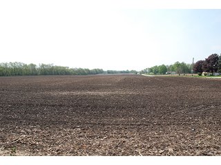 Property photo 22 - REAL ESTATE AUCTION - 259+/- ACRES OFFERED IN 7 TRACTS IN LAPORTE COUNTY